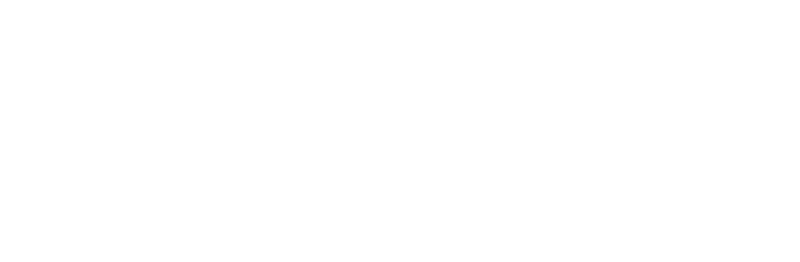 Coca Cola logo