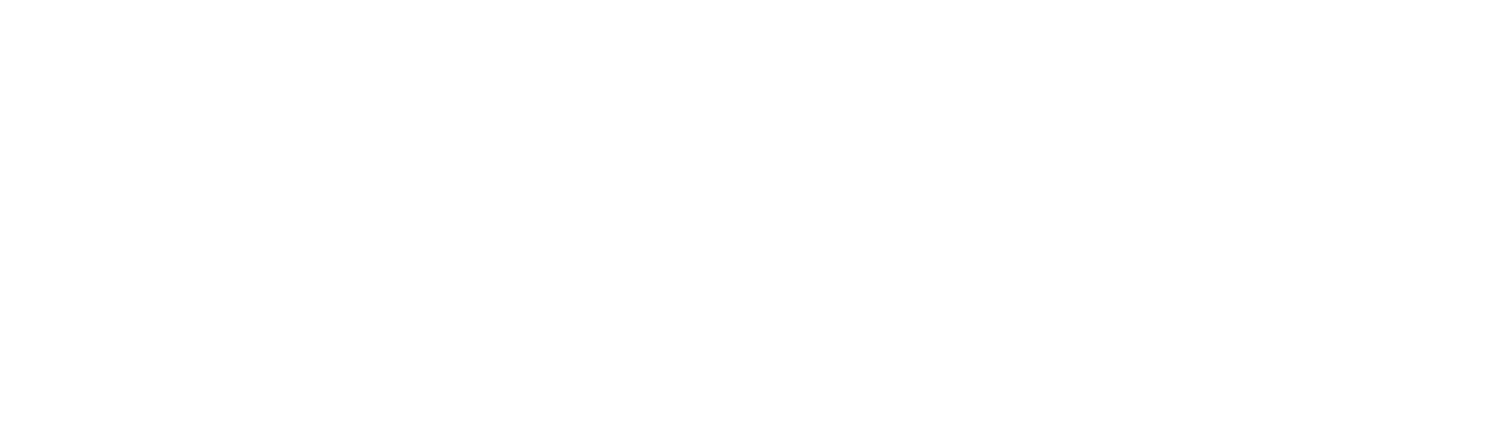 Vsp Vision logo
