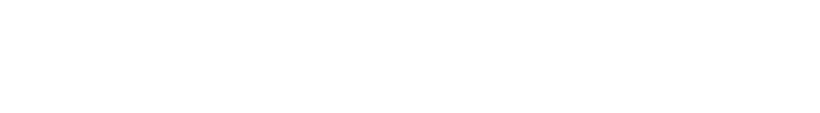 Newsan logo